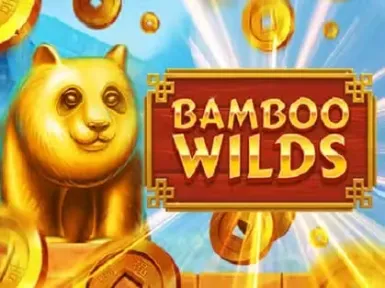 Puntit Casino screenshot